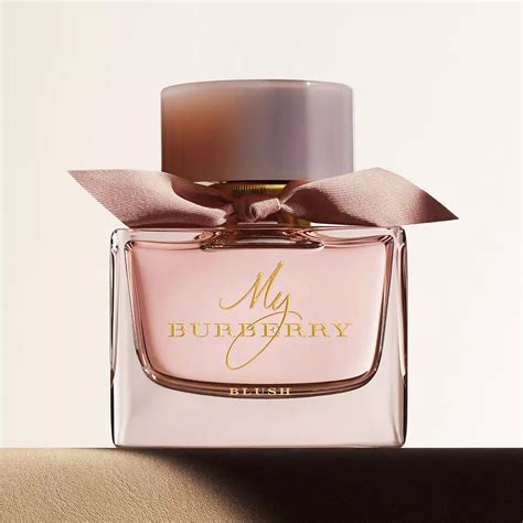 burberry perfumes on daraz|burberry melodies for sale.